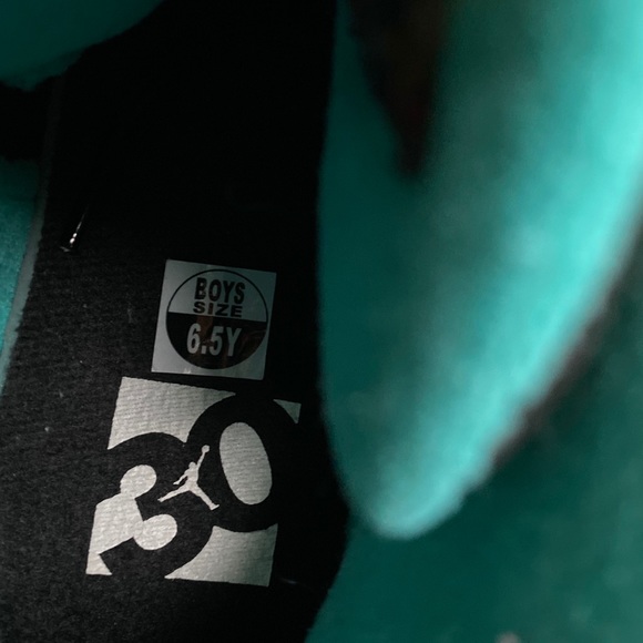 Air Jordan 10 Liberty - Picture 9 of 9